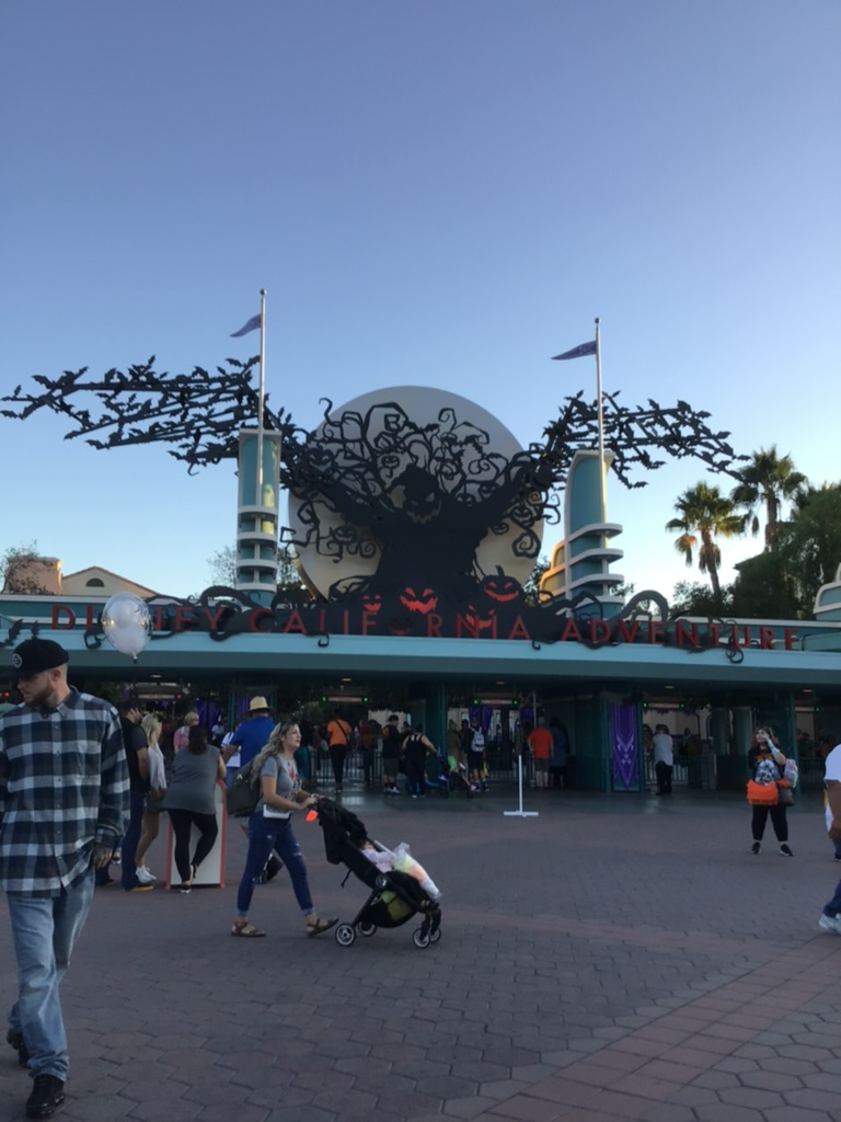 devstartours