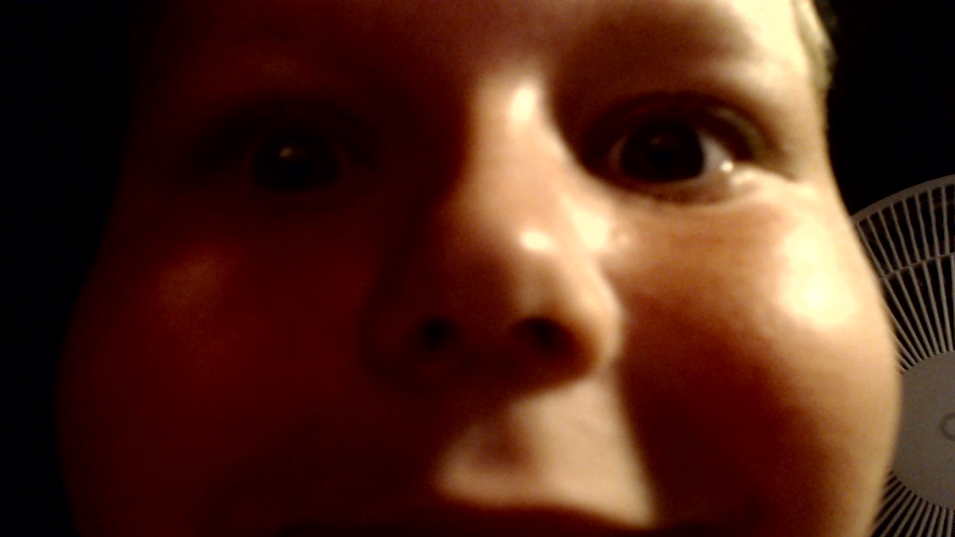 ludde