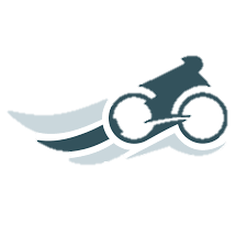 rayserlaserrayser