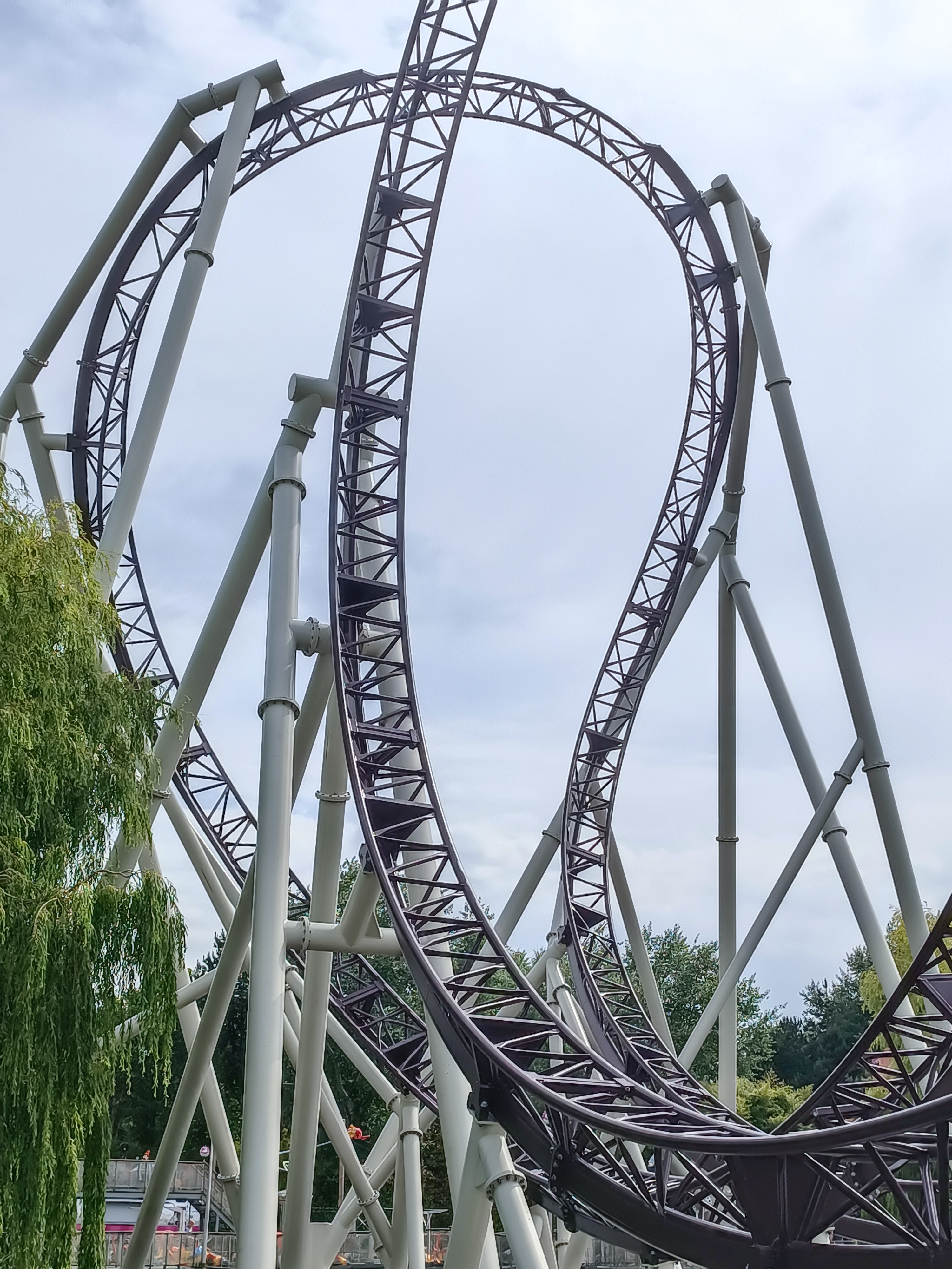 Wildforcecoaster