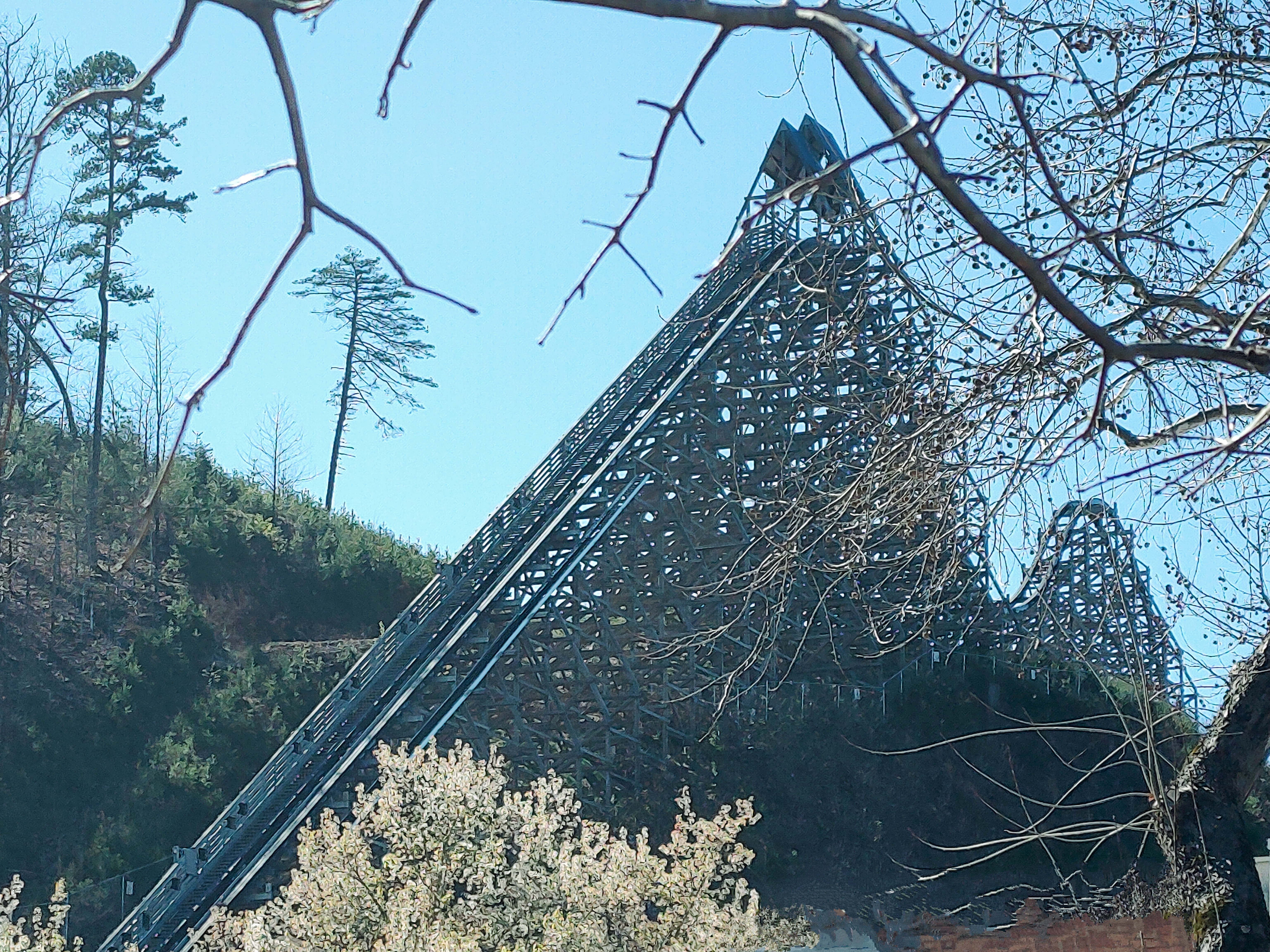 WolfsBane2915
