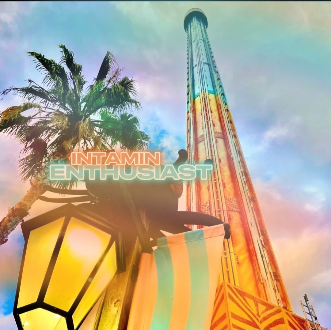intamin.enthusiast