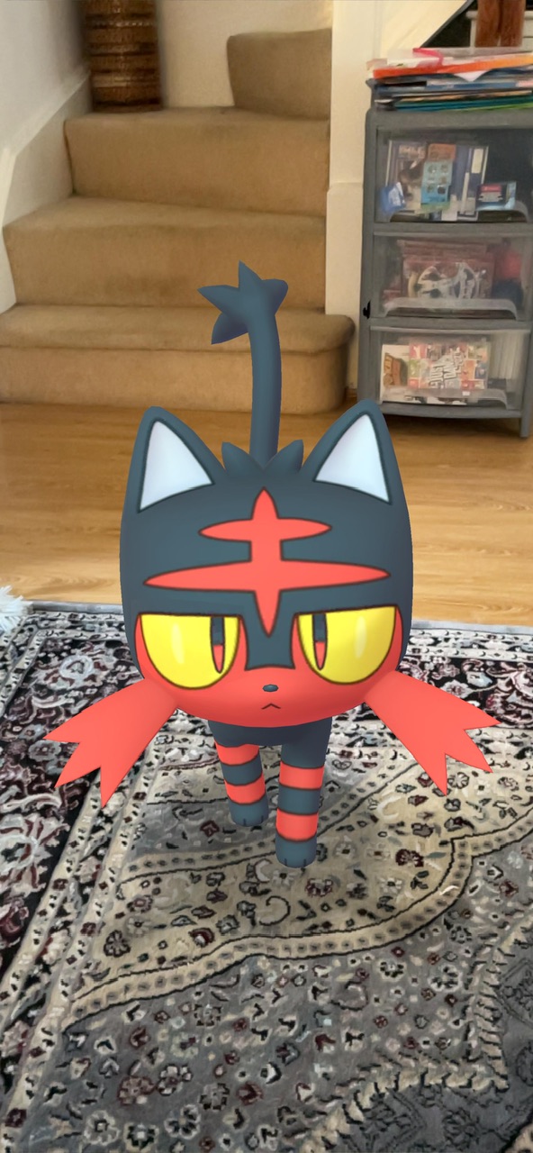 Pooky017