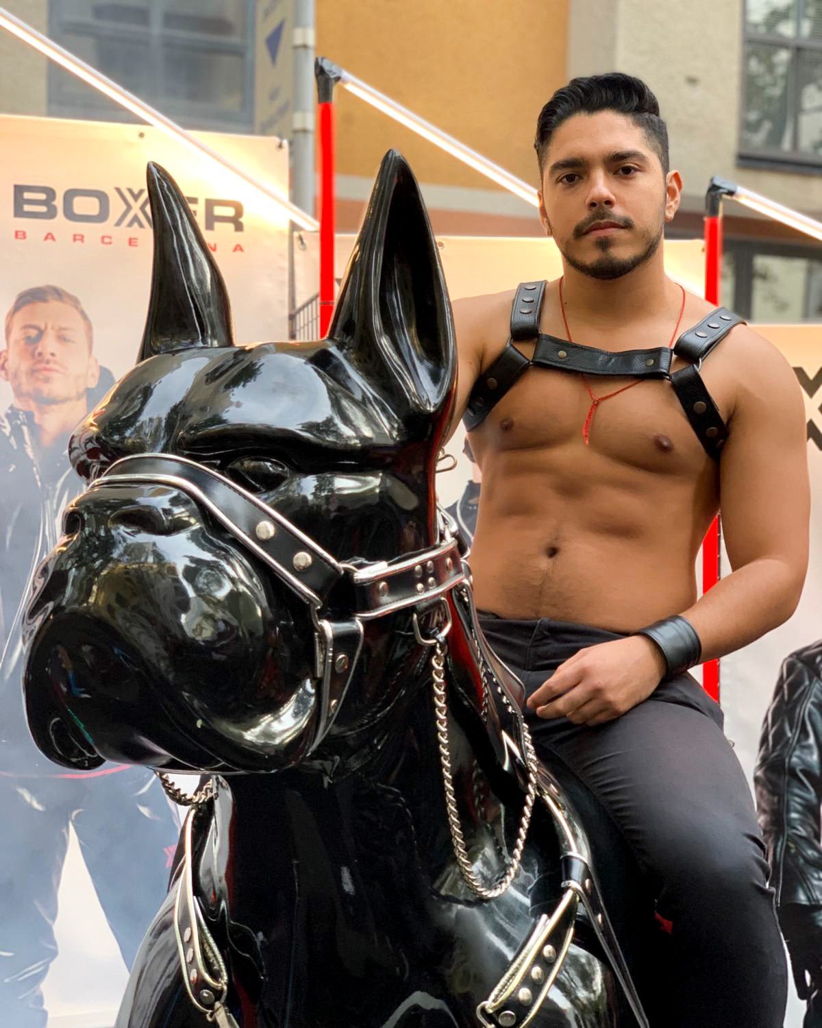 Guardstallion13