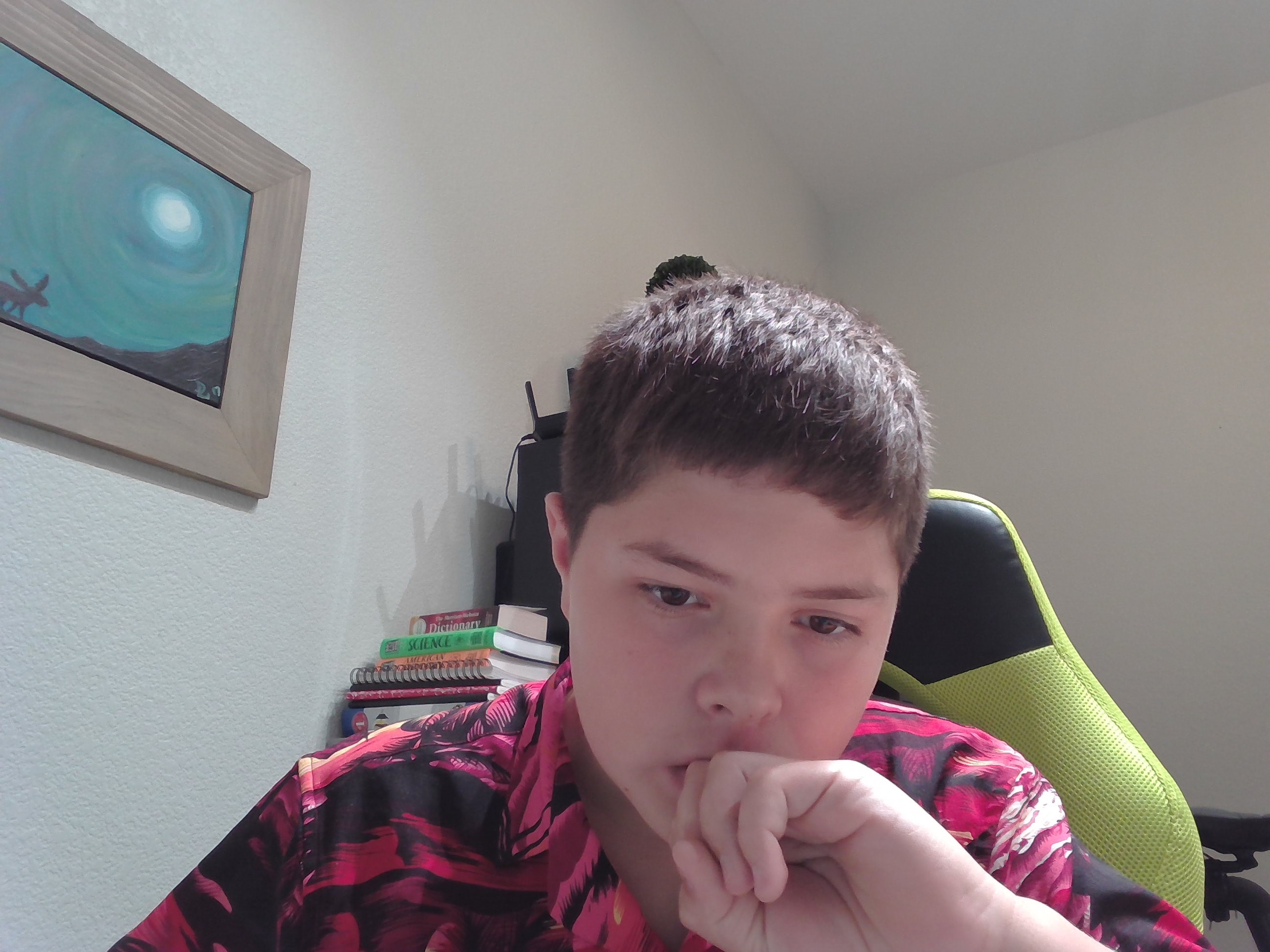 MonkSL