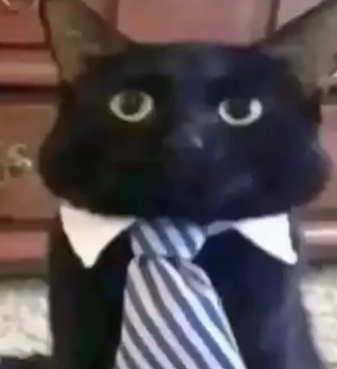 mickhonderkind