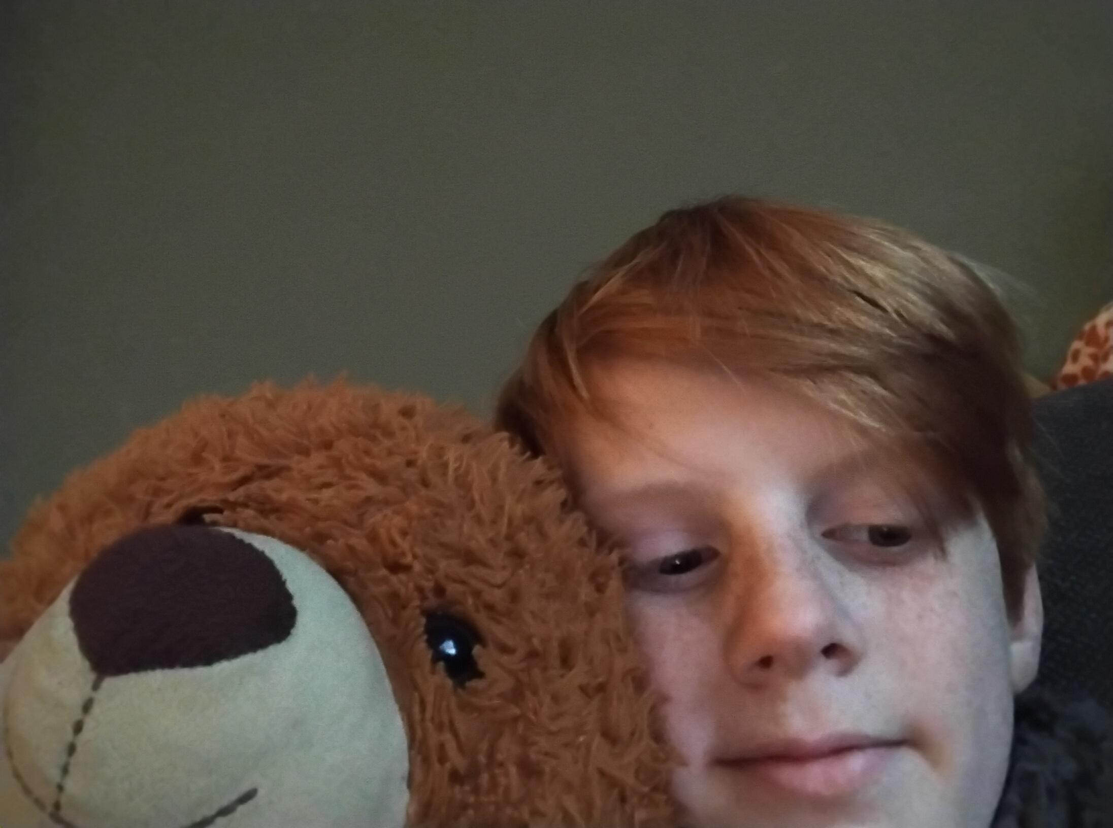 eftelingfan01